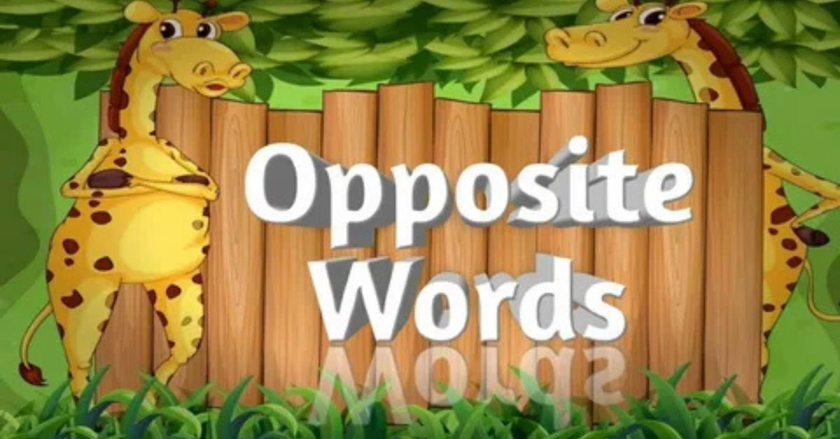 Common SH Words for Kids (2) Common SH Words for Kids