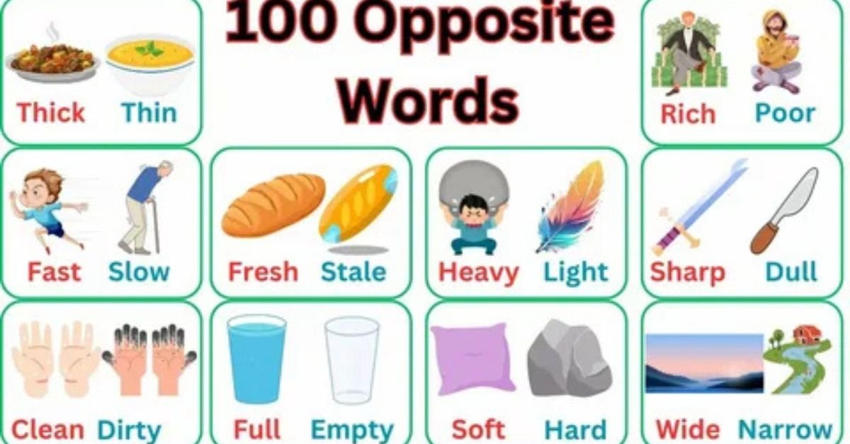 Opposite Words for Kids Through Real-Life Experiences